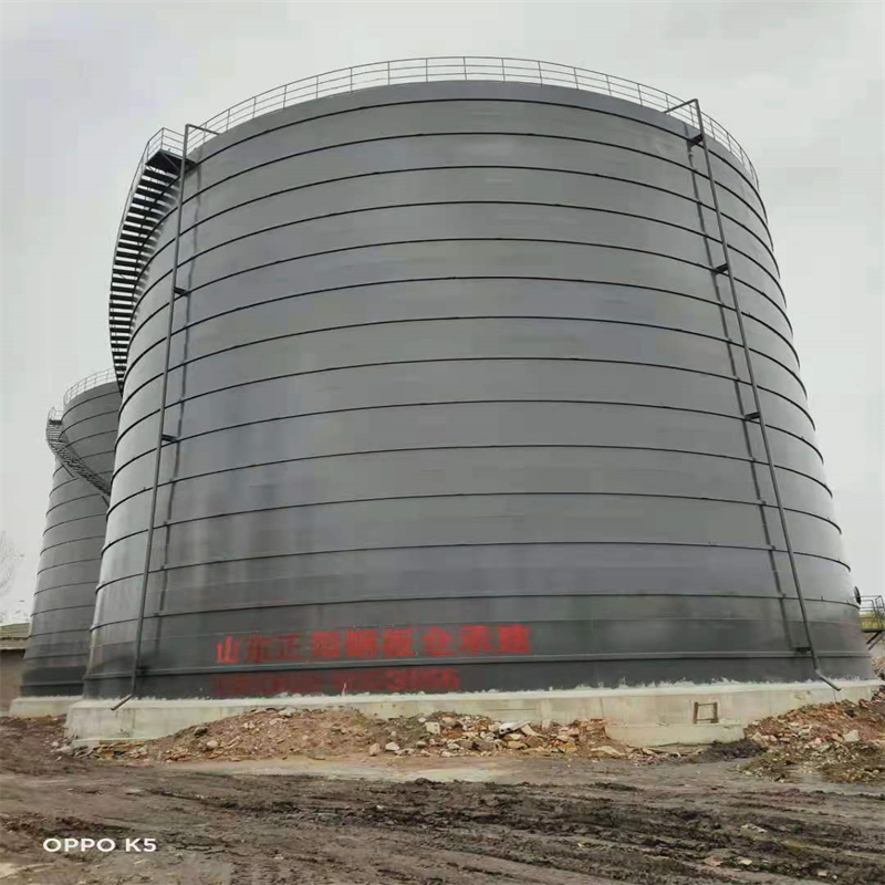 申扎3万吨大型钢板库