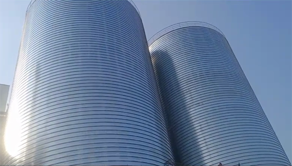 申扎2座混凝土高架卷板仓